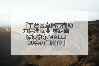 丰台区直播带岗助力精准就业 零距离解锁京东MALL200余热门岗位