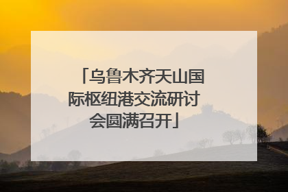 乌鲁木齐天山国际枢纽港交流研讨会圆满召开