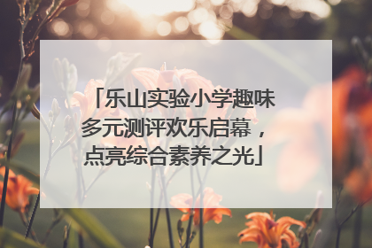 乐山实验小学趣味多元测评欢乐启幕，点亮综合素养之光