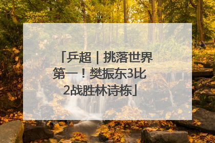 乒超｜挑落世界第一！樊振东3比2战胜林诗栋
