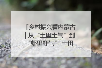 乡村振兴看内蒙古|从“土里土气”到“虾里虾气” 一田双收模式火出圈
