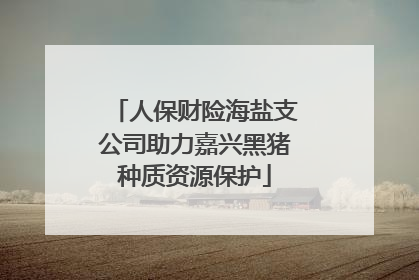 人保财险海盐支公司助力嘉兴黑猪种质资源保护