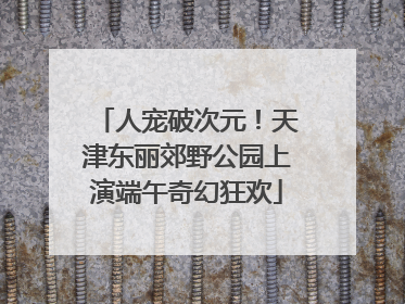 人宠破次元！天津东丽郊野公园上演端午奇幻狂欢