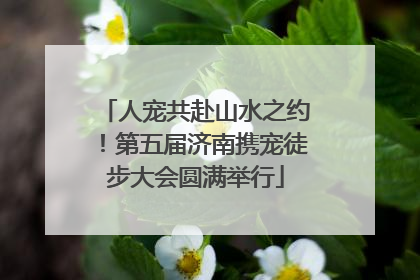 人宠共赴山水之约！第五届济南携宠徒步大会圆满举行