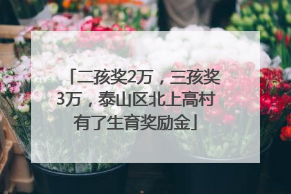 二孩奖2万，三孩奖3万，泰山区北上高村有了生育奖励金