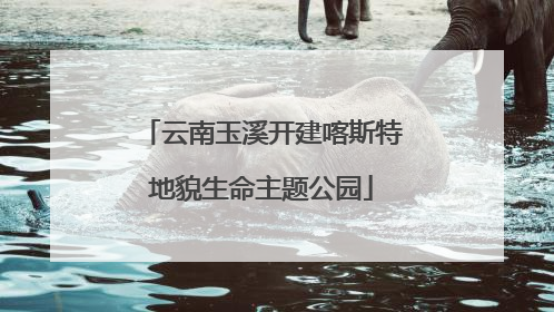 云南玉溪开建喀斯特地貌生命主题公园