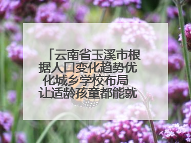 云南省玉溪市根据人口变化趋势优化城乡学校布局 让适龄孩童都能就近就便上好学
