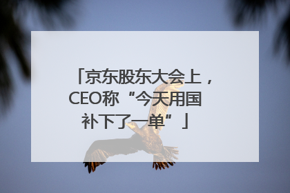 京东股东大会上，CEO称“今天用国补下了一单”