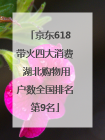 京东618带火四大消费 湖北购物用户数全国排名第9名