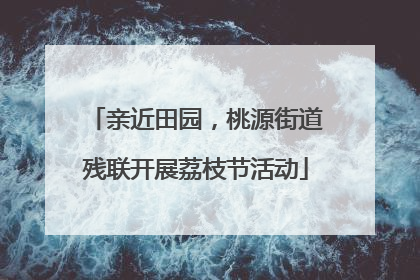 亲近田园，桃源街道残联开展荔枝节活动