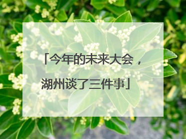 今年的未来大会，湖州谈了三件事