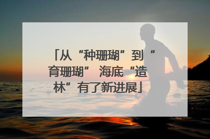 从“种珊瑚”到“育珊瑚” 海底“造林”有了新进展