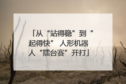 从“站得稳”到“起得快” 人形机器人“擂台赛”开打