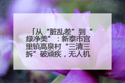 从“脏乱差”到“绿净美”：新泰市宫里镇高泉村“三清三拆”破顽疾，无人机“天眼”护新颜