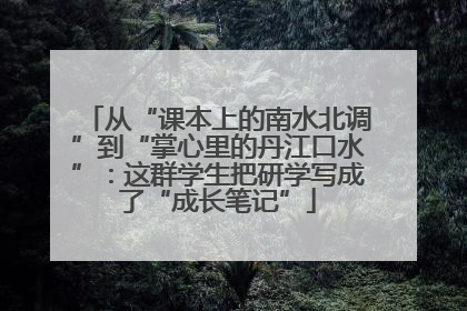 从“课本上的南水北调”到“掌心里的丹江口水”：这群学生把研学写成了“成长笔记”
