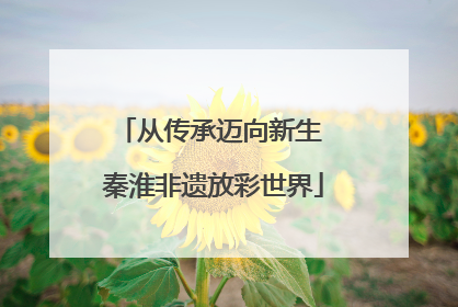 从传承迈向新生 秦淮非遗放彩世界