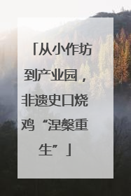 从小作坊到产业园，非遗史口烧鸡“涅槃重生”