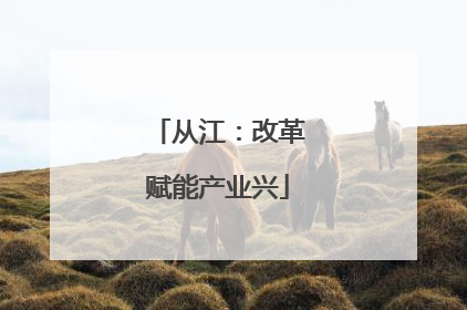 从江：改革赋能产业兴