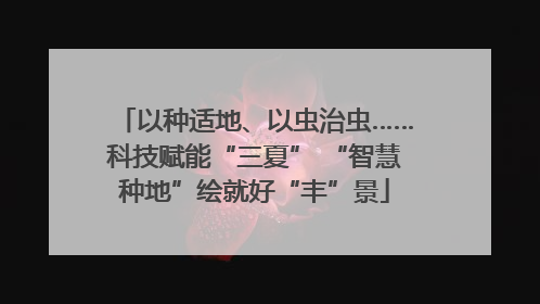 以种适地、以虫治虫……科技赋能“三夏” “智慧种地”绘就好“丰”景