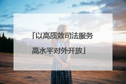 以高质效司法服务高水平对外开放