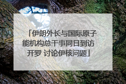 伊朗外长与国际原子能机构总干事同日到访开罗 讨论伊核问题