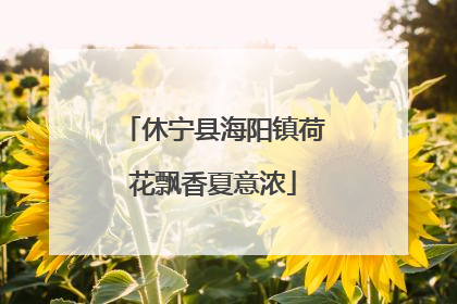 休宁县海阳镇荷花飘香夏意浓
