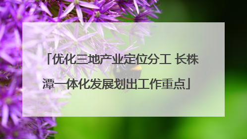 优化三地产业定位分工 长株潭一体化发展划出工作重点