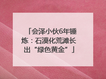 会泽小伙6年锤炼：石漠化荒滩长出“绿色黄金”