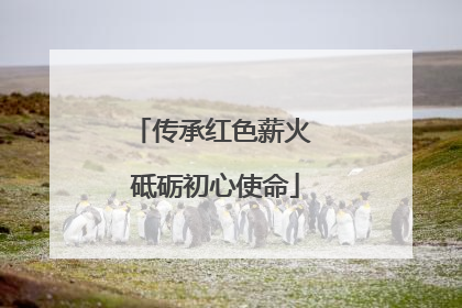 传承红色薪火 砥砺初心使命