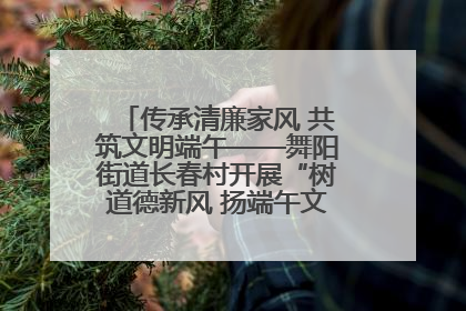 传承清廉家风 共筑文明端午——舞阳街道长春村开展“树道德新风 扬端午文化”主题活动
