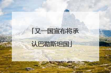 又一国宣布将承认巴勒斯坦国