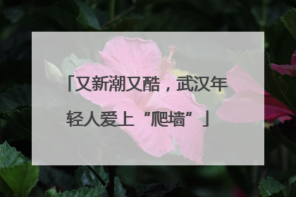 又新潮又酷，武汉年轻人爱上“爬墙”