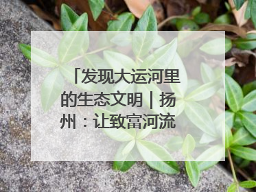 发现大运河里的生态文明｜扬州：让致富河流淌出好生态