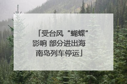 受台风“蝴蝶”影响 部分进出海南岛列车停运