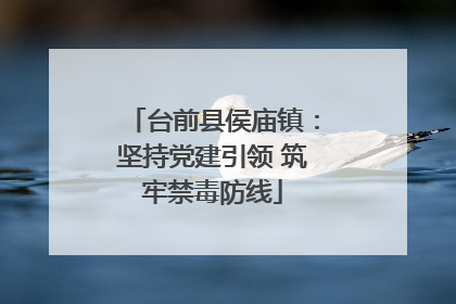 台前县侯庙镇：坚持党建引领 筑牢禁毒防线