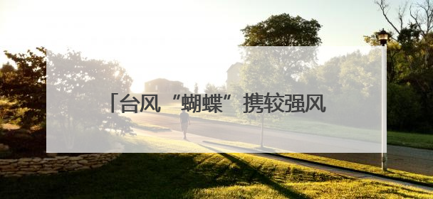 台风“蝴蝶”携较强风雨影响三亚：一女子被树砸倒送医，无大碍当天回家 当地已紧急清障