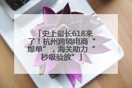 史上最长618来了！杭州跨境电商“爆单”，海关助力“秒级验放”