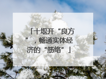 十堰开“良方”，畅通实体经济的“筋络”