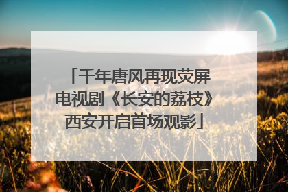 千年唐风再现荧屏 电视剧《长安的荔枝》西安开启首场观影