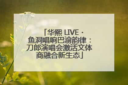 华熙 LIVE・鱼洞唱响巴渝韵律：刀郎演唱会激活文体商融合新生态