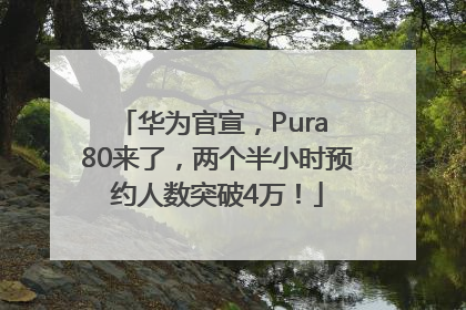华为官宣，Pura 80来了，两个半小时预约人数突破4万！