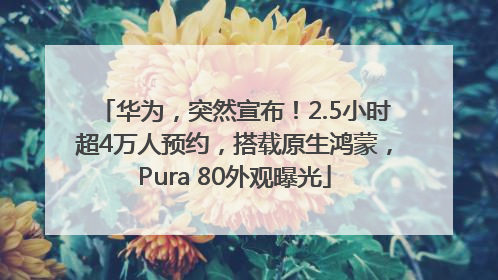 华为，突然宣布！2.5小时超4万人预约，搭载原生鸿蒙，Pura 80外观曝光