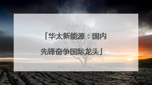 华太新能源：国内先锋奋争国际龙头