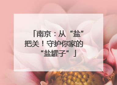 南京：从“盐”把关！守护你家的“盐罐子”