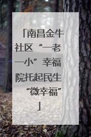 南昌金牛社区“一老一小”幸福院托起民生“微幸福”