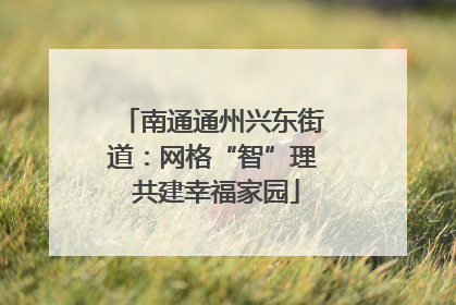 南通通州兴东街道：网格“智”理 共建幸福家园