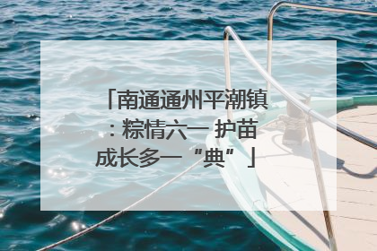 南通通州平潮镇：粽情六一 护苗成长多一“典”