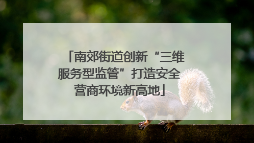 南郊街道创新“三维服务型监管”打造安全营商环境新高地