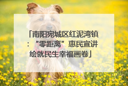南阳宛城区红泥湾镇：“零距离”惠民宣讲 绘就民生幸福画卷
