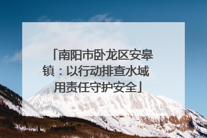 南阳市卧龙区安皋镇：以行动排查水域 用责任守护安全